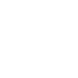 shipped - Siterui SFX shipped - Siterui SFX